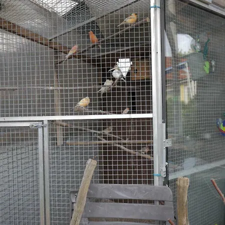 Zimmervermietung Am Teutoburger Wald *