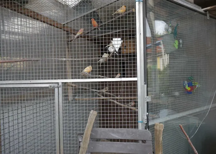 Zimmervermietung Am Teutoburger Wald *